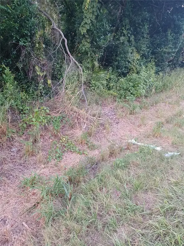 88 Dirksen Drive, DEBARY, FL 32713