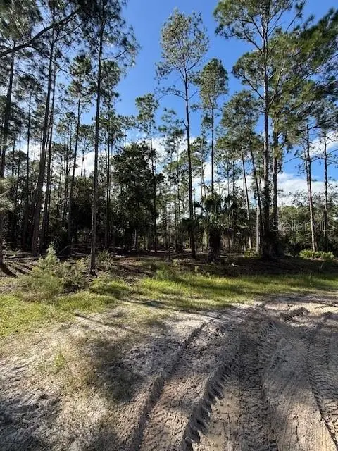 215 Hideaway Lane, Georgetown, FL 32139 - Image #2