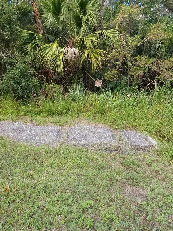 Lake Harney Road, GENEVA, FL 32732