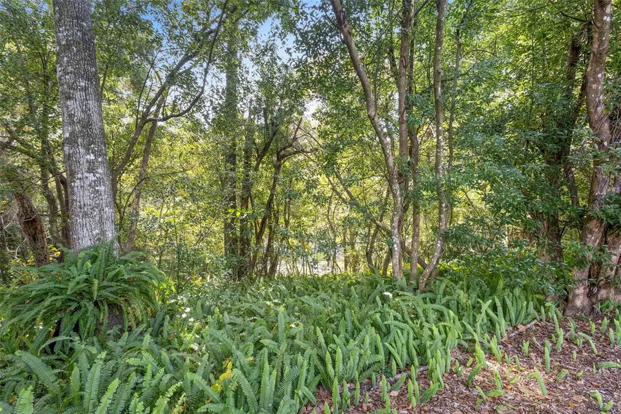 706 E Wisconsin Avenue, Deland, FL 32724 - Image #2