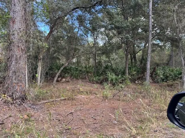 12th Avenue, Deland, FL 32724 - Image #1