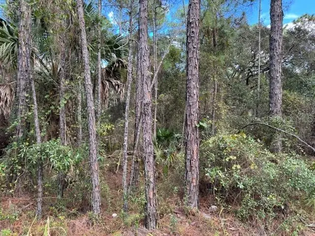 12th Avenue, Deland, FL 32724 - Image #1