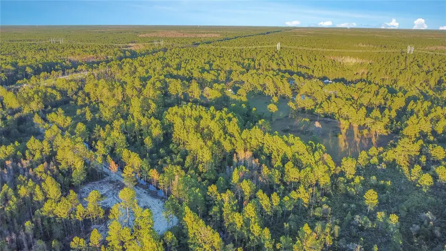 Turkey Roost Road, Deland, FL 32724 - Image #3