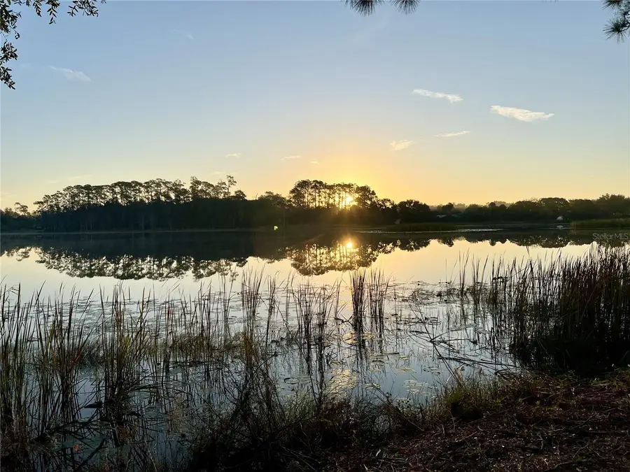 1499 Murphy Road, Pierson, FL 32180 - Image #3