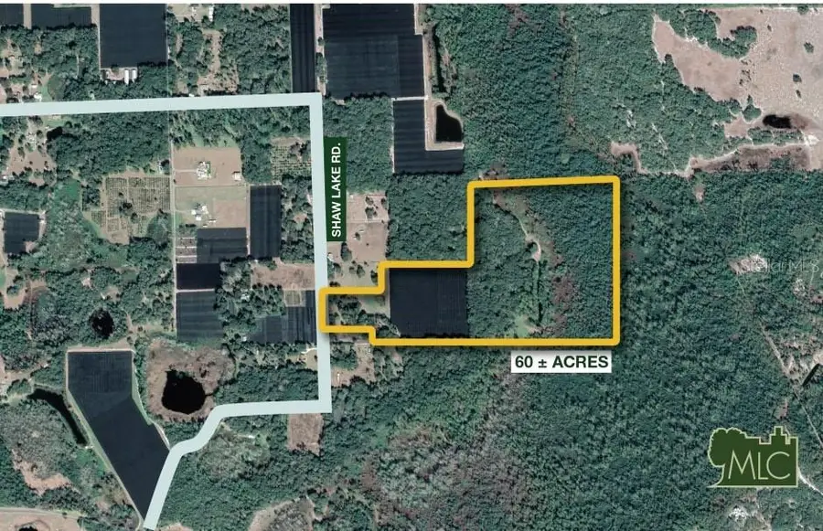 Shaw Lake Road, Pierson, FL 32180 - Image #2