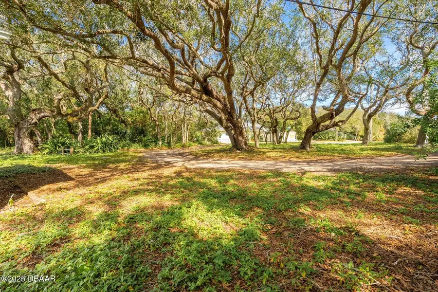 4770 S Peninsula Drive, Ponce Inlet, FL 32127 - #3