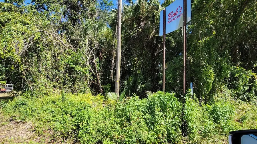 Lakeview St, Deland, FL 32724 - Image #2