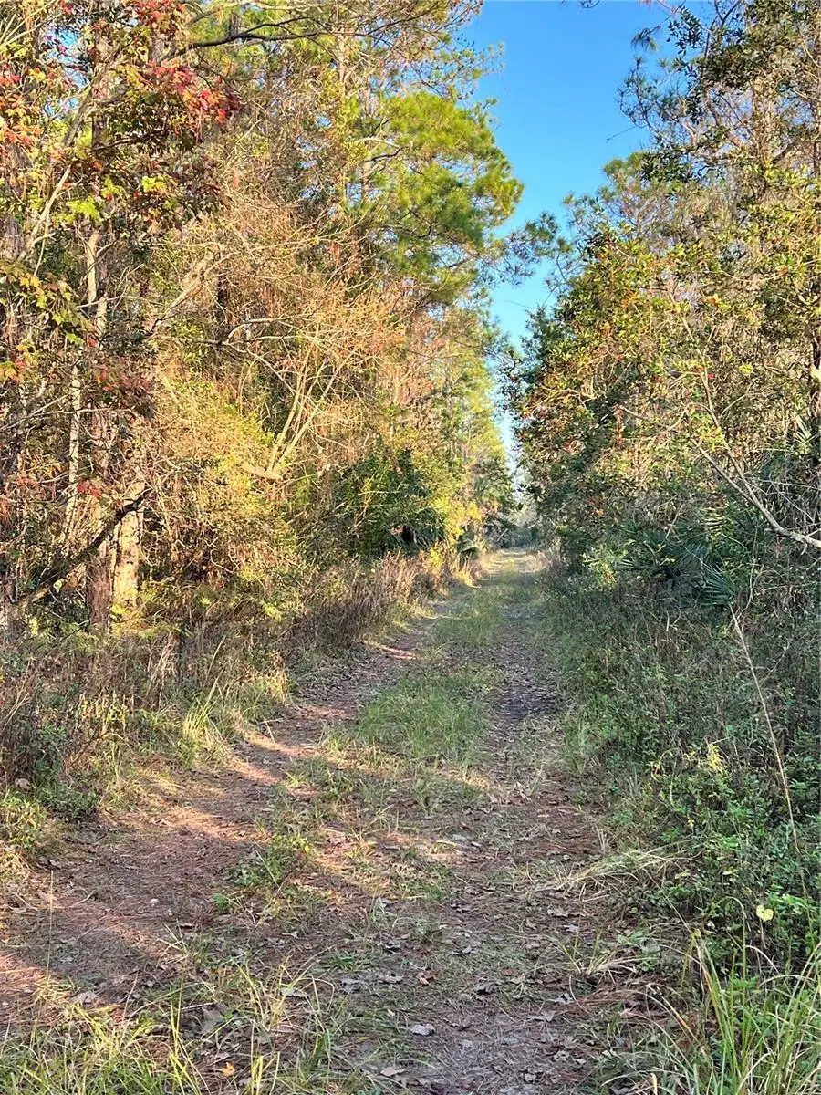 University Highlands/ Deland Crossings, Deland, FL 32724 - Image #1