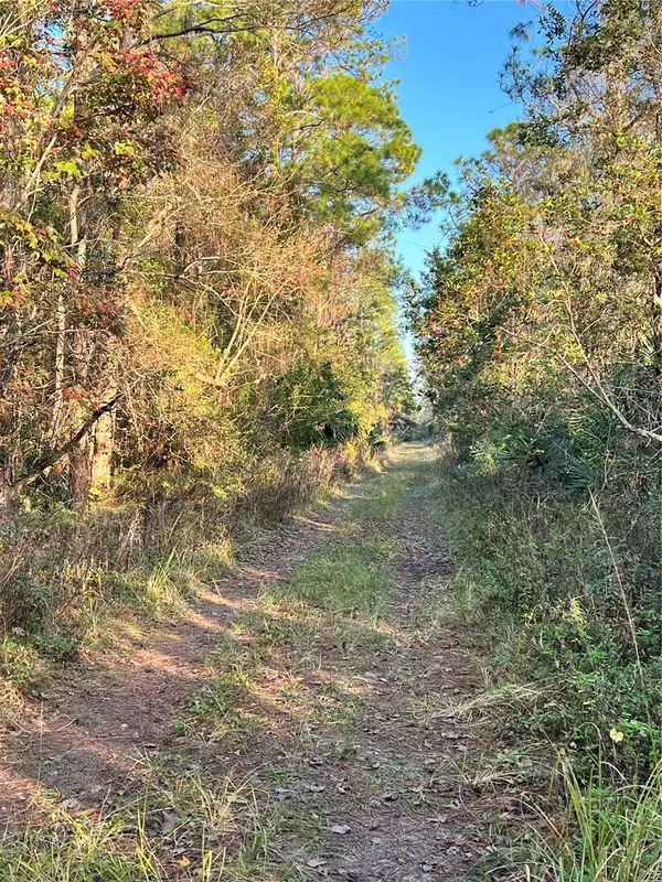 University Highlands/ Deland Crossings, DELAND, FL 32724