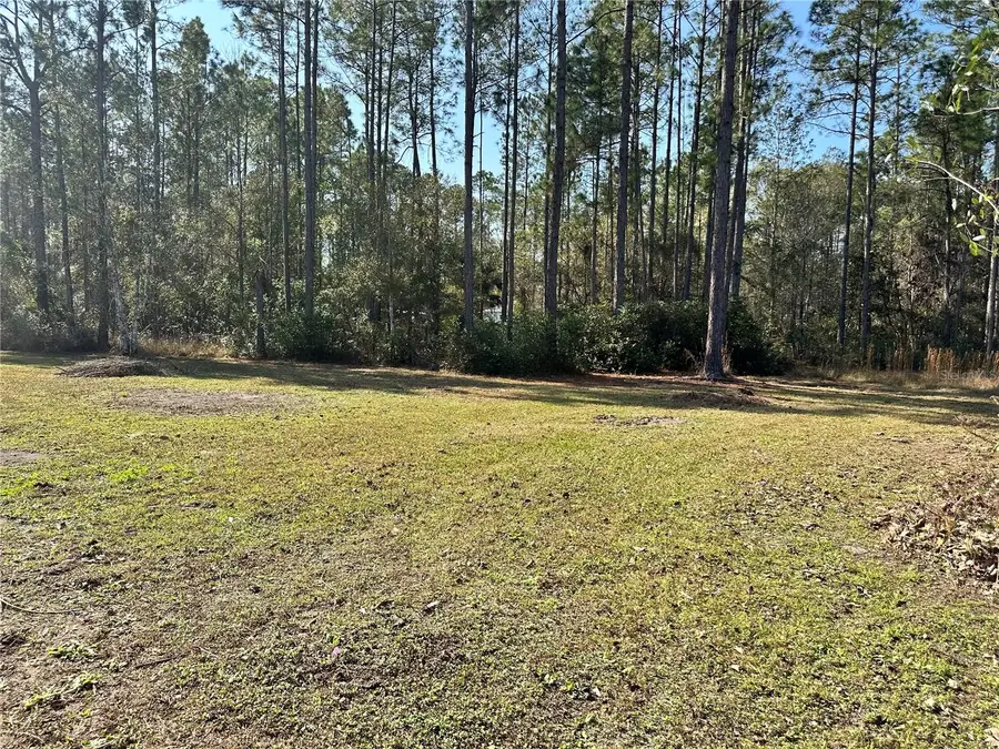 1730 Berrybush Street, Bunnell, FL 32110 - Image #3