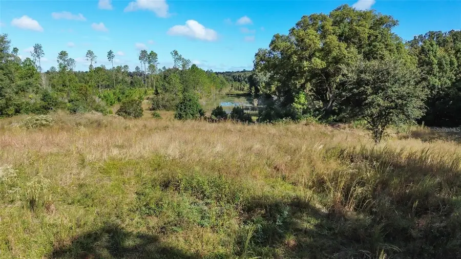 Lot 6 Tree Frog Lane, Eustis, FL 32736 - Image #3