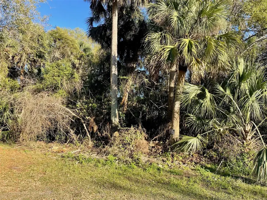 Osteen Maytown Road, Osteen, FL 32764 - Image #2