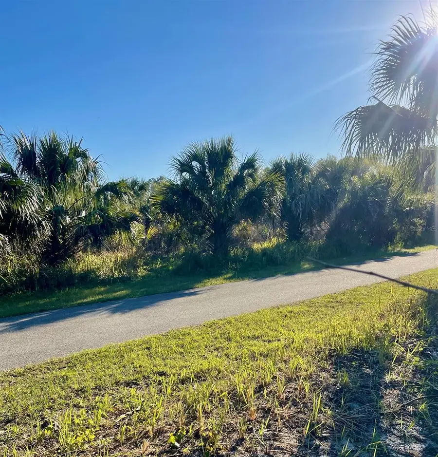 Osteen Maytown Road, Osteen, FL 32764 - Image #3