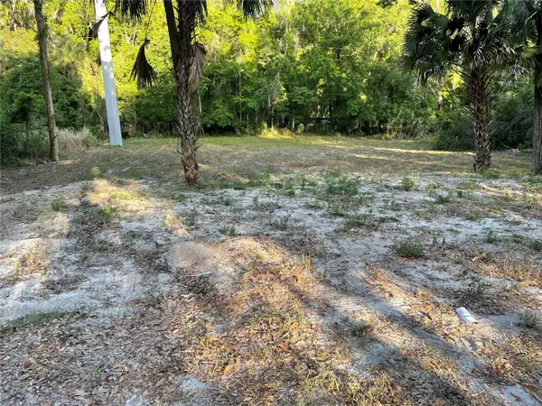 Park Avenue, DE LEON SPRINGS, FL 32130