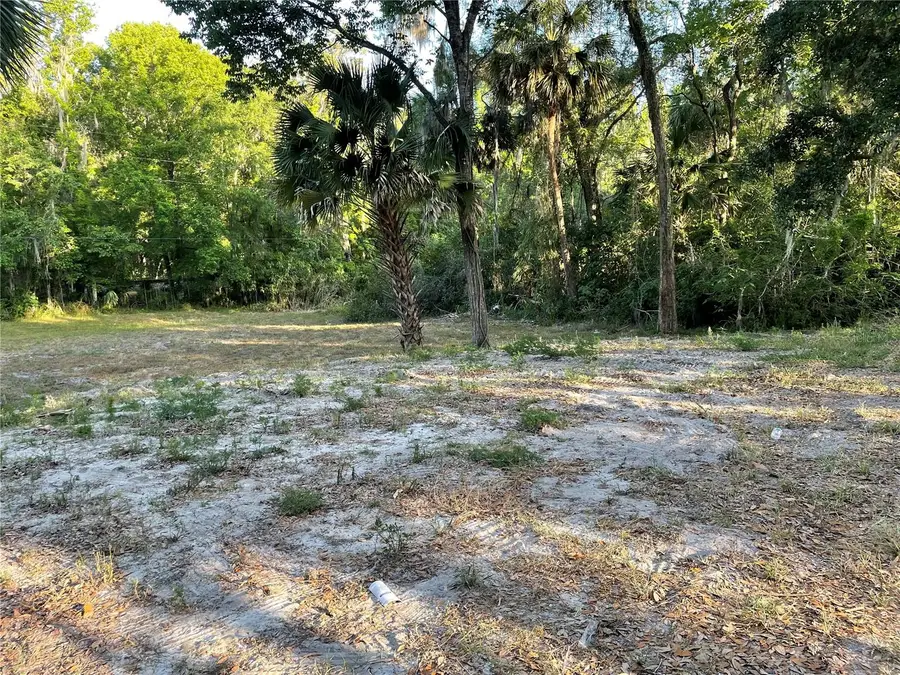 Park Avenue, De Leon Springs, FL 32130 - Image #2