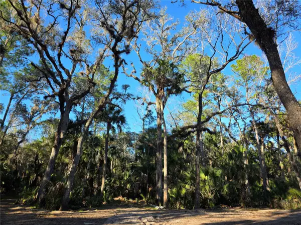 1243 Gee Whiz Drive, OSTEEN, FL 32764