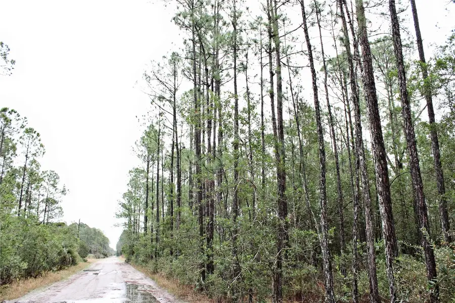 849 Ashby Way, Osteen, FL 32764 - #2