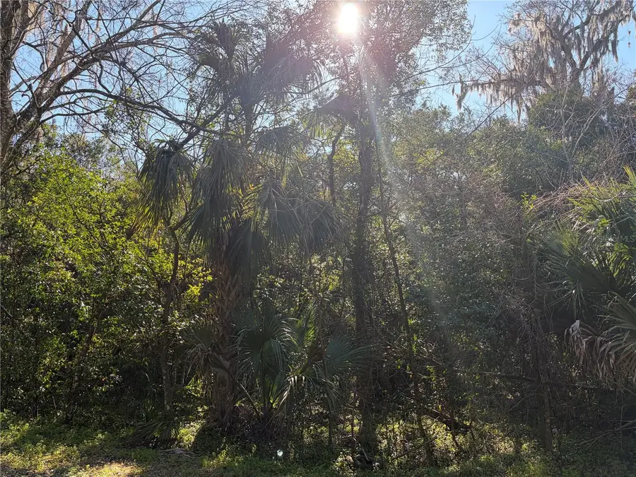 Lot 15 Quebec Avenue, De Leon Springs, FL 32130 - Image #3