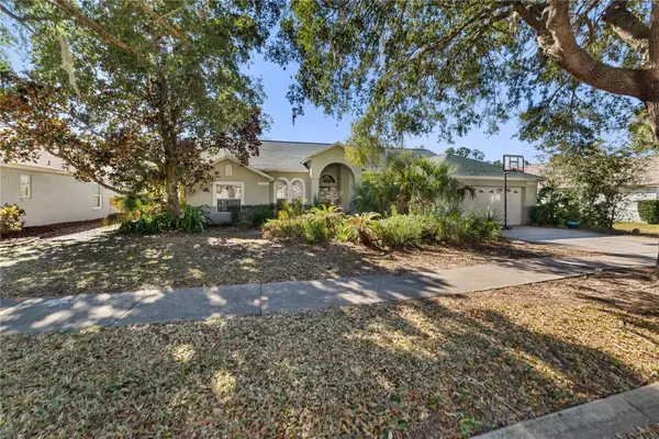 16142 Magnolia Hill Street, CLERMONT, FL 34714