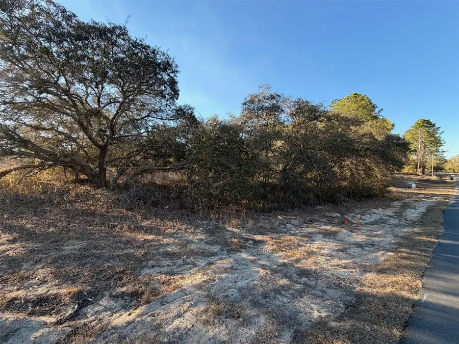 6818 N Waycross Way, Citrus Springs, FL 34433 - #2