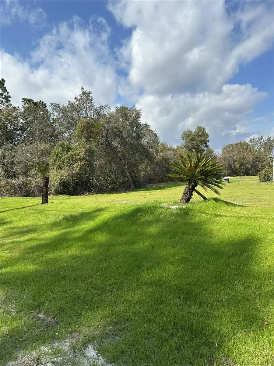 Address Withheld By Seller, Osteen, FL 32764 - #2