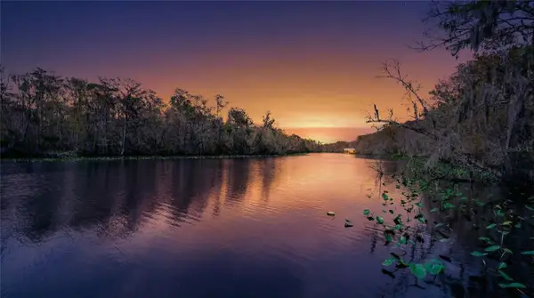 6595 Collier Road, ST AUGUSTINE, FL 32092