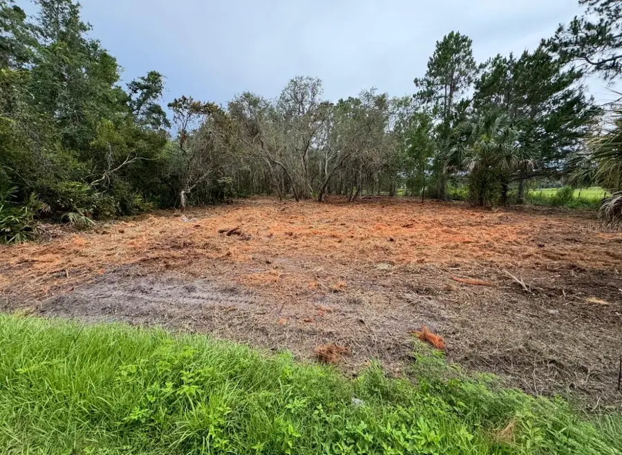 Spring Garden Ranch Rd, De Leon Springs, FL 32130 - #2