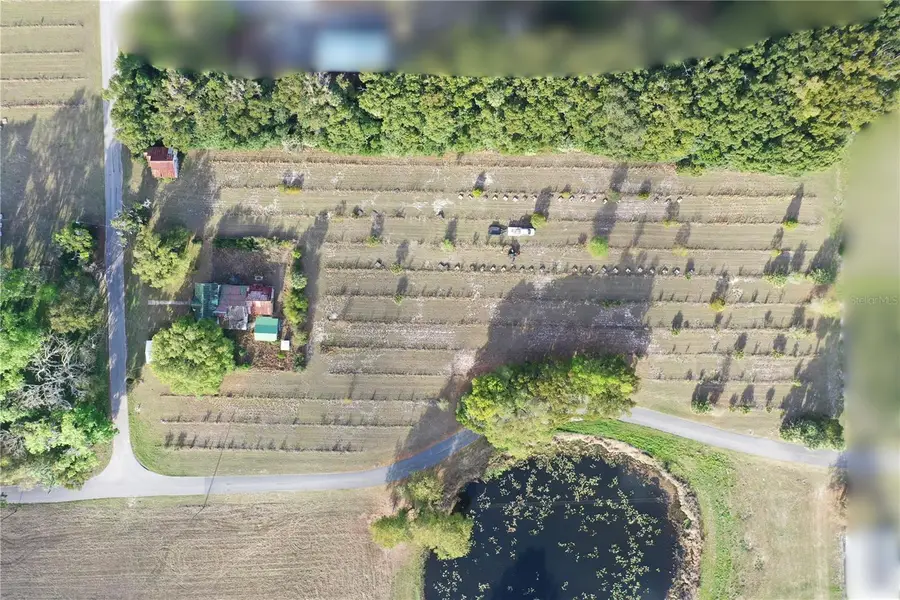 180 E 3rd Avenue, Pierson, FL 32180 - #2