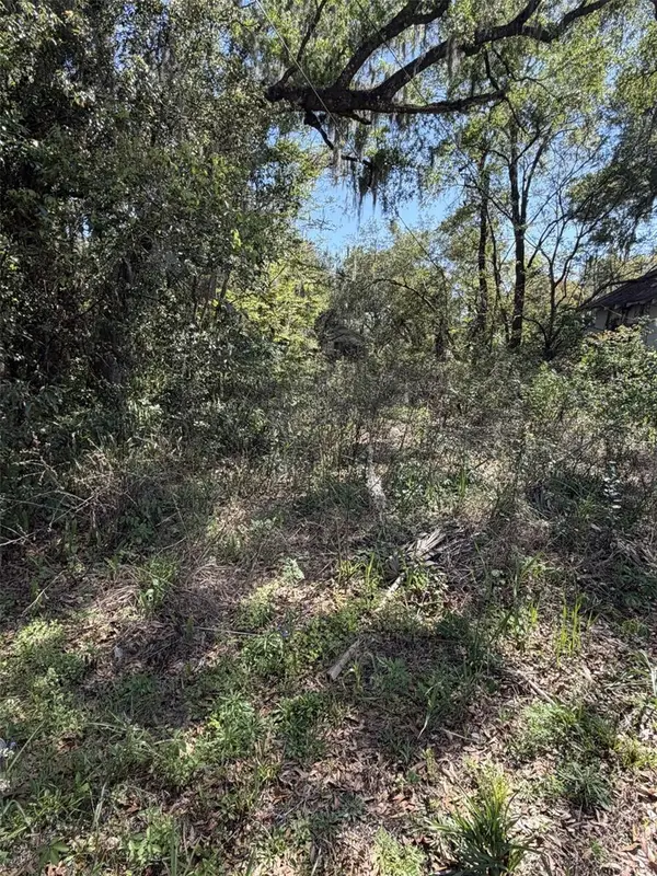 110 E Mercers Fernery Road, DELAND, FL 32724