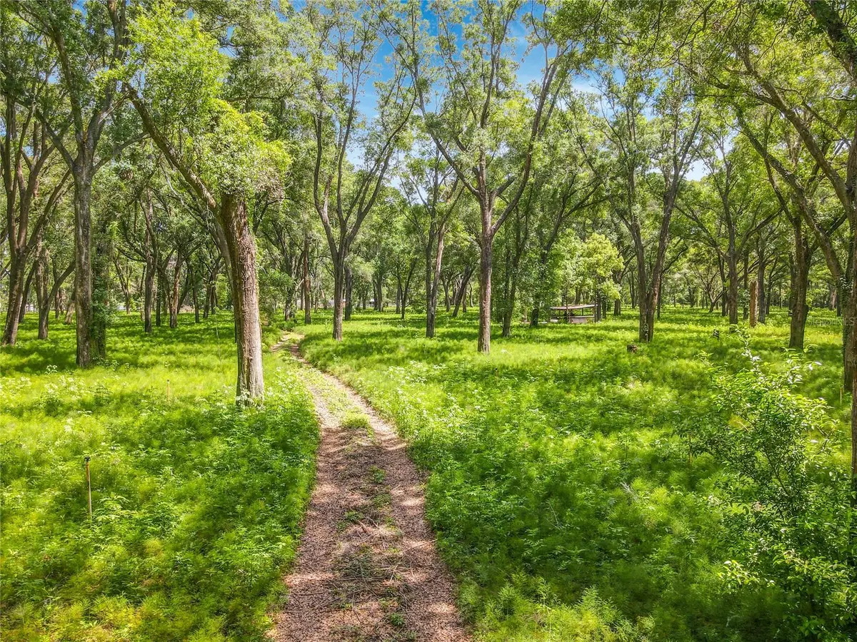 164 Denver Road, Crescent City, FL 32112 - #1