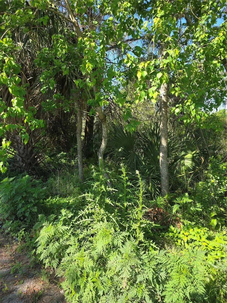 226 Walnut Avenue, Orange City, FL 32763 - #1