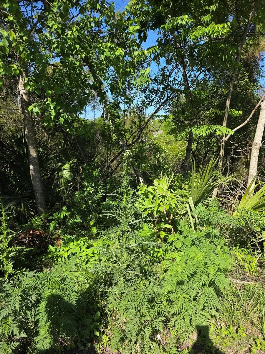 226 Walnut Avenue, Orange City, FL 32763 - #2