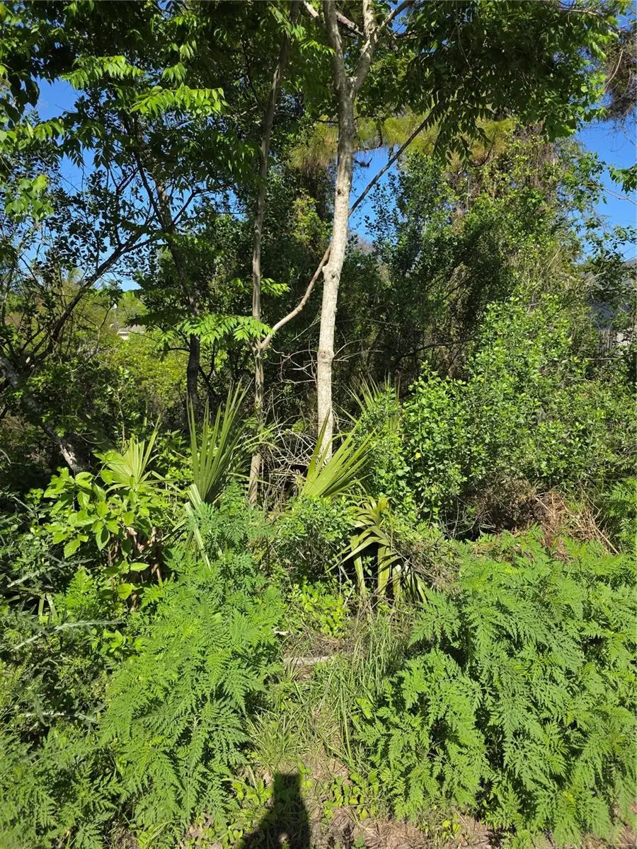 226 Walnut Avenue, Orange City, FL 32763 - #3