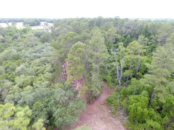 161 Snake Hill Road, CRESCENT CITY, FL 32112