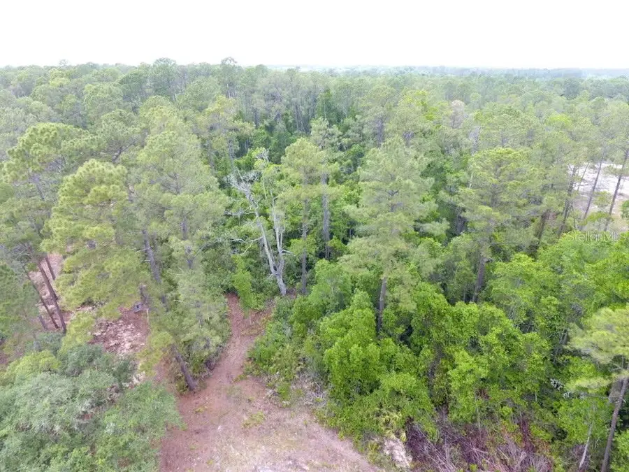 161 Snake Hill Road, Crescent City, FL 32112 - #2