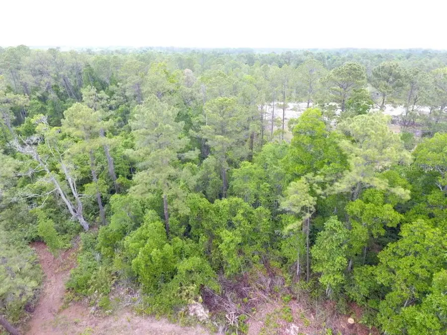 161 Snake Hill Road, Crescent City, FL 32112 - #3