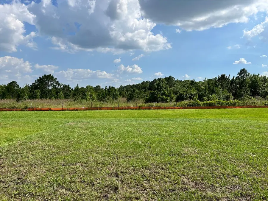 1487 Fox Squirrel Drive, Davenport, FL 33897 - #3