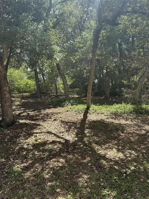 E Elm Drive, ORANGE CITY, FL 32763