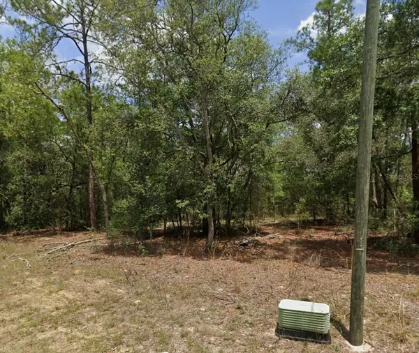 11304 N Fuego Drive, CITRUS SPRINGS, FL 34434