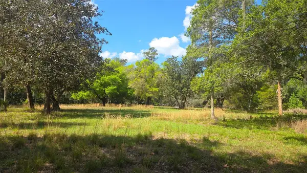 2140 St Johns River Road, ASTOR, FL 32102