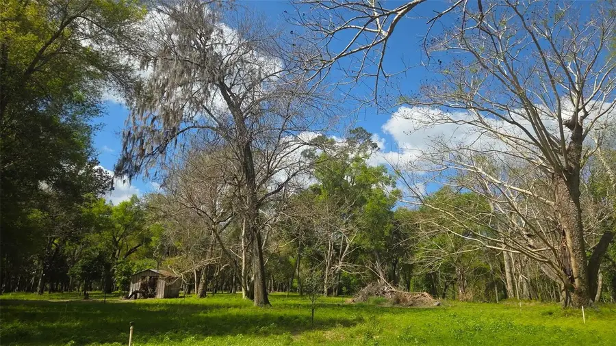 2140 St Johns River Road, Astor, FL 32102 - #2
