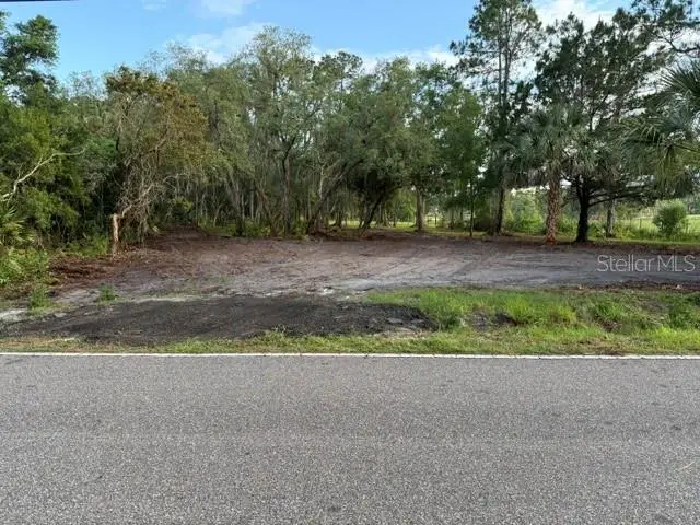 Spring Garden Ranch Rd, De Leon Springs, FL 32130 - #1