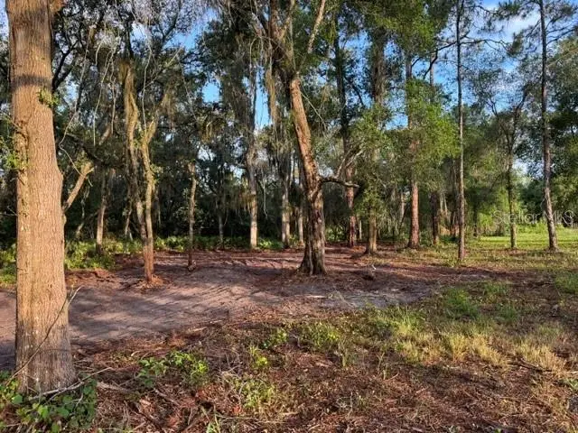Spring Garden Ranch Rd, De Leon Springs, FL 32130 - #3