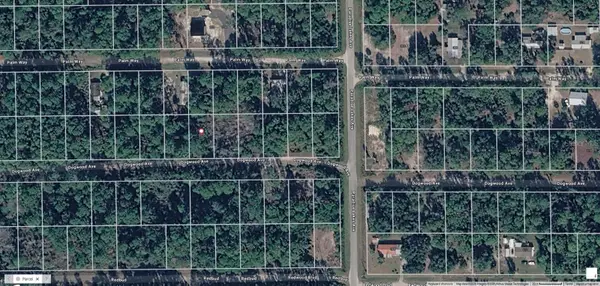 222 Dogwood Avenue, GEORGETOWN, FL 32139