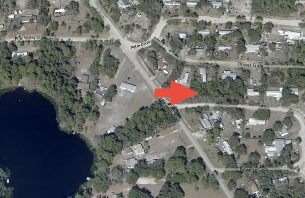 Palmetto Circle, PAISLEY, FL 32767