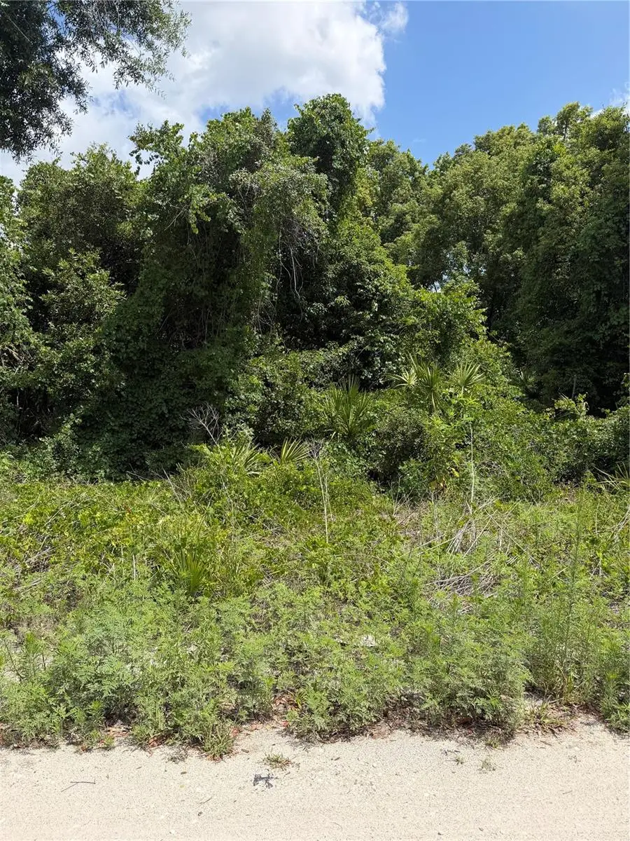 Palmetto Circle, Paisley, FL 32767 - #3