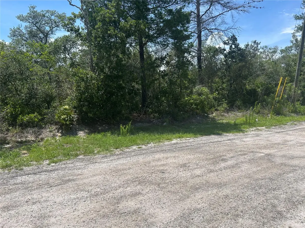 Waldor Avenue, Debary Orange City, FL 32763 - #1