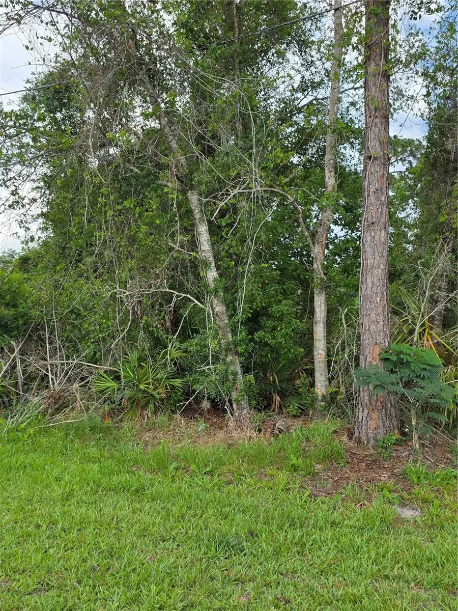 3227 Urmey Avenue, Deltona, FL 32738 - #1