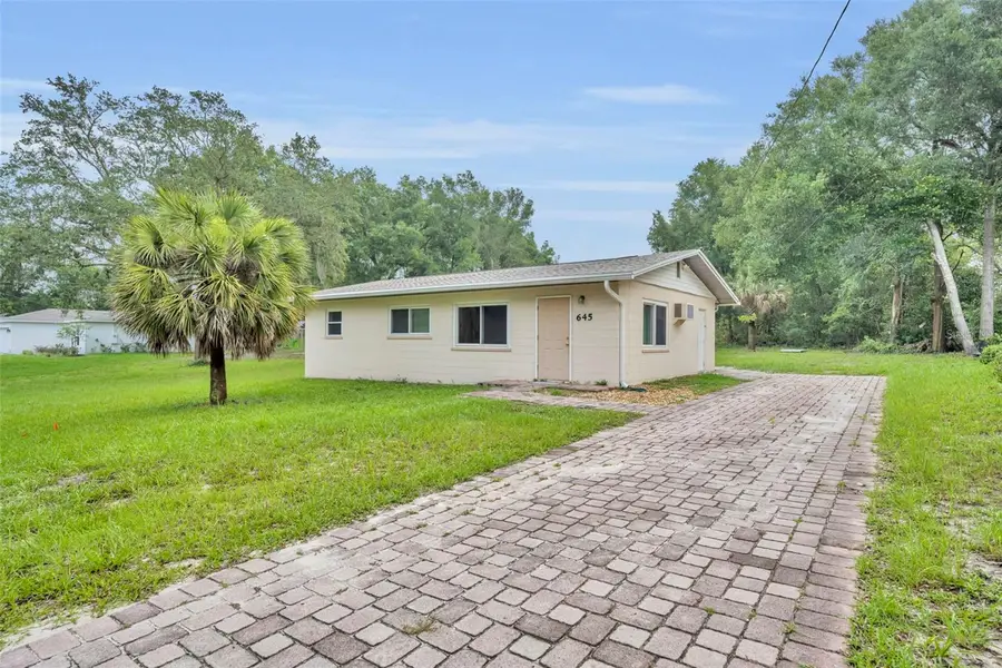 645 Park Avenue, Orange City, FL 32763 - #2