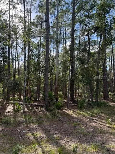 207 Ocala Court, GEORGETOWN, FL 32139